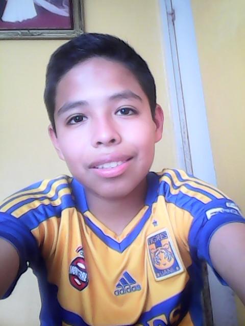 TIGRES UANL***