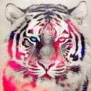 Yasmin Ashour - @201835621e2c478 - Twitter