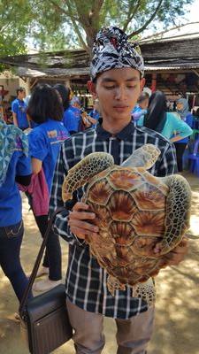 ic tok wae
