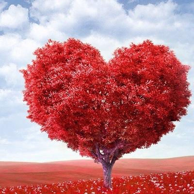 MayelaQuezada10's profile picture. 