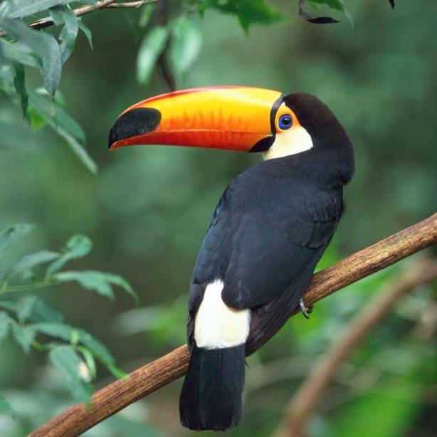 outdoorDylan's profile picture. 