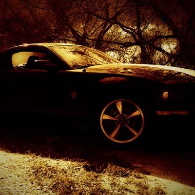 huntinhogs Profile Picture
