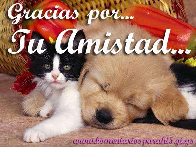 soi feliz