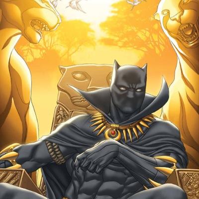 I am T'Challa or Black Panther to some. I am the chief of a tribe in Wakanda. I fight for others.| Member of @MarvelTower| my love: @AfricasGoddess