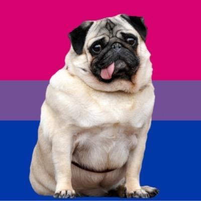 bisexual: sexually attracted to two or more genders, one often being your own || atlas • they/them