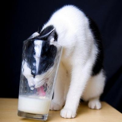 Thirst comes in many forms 
send me the thirst and I shall put it on blast