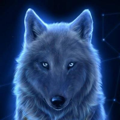 tomas_uceda's profile picture. 