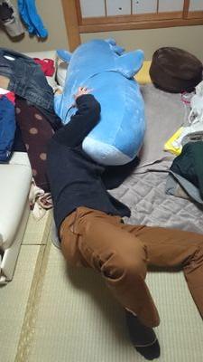 DrummerMATSU's profile picture. ROCK系、スキマスイッチが好きです。19歳にしてライダーデビュー!!バイクでいろんな所行きたいです(*ˊ˘ˋ*)｡♪:*°