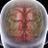 BRAIN_Survive's profile image