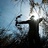 BowHunting_'s profile image