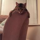 James Ormerod - @JamesOrmerod123 - Twitter