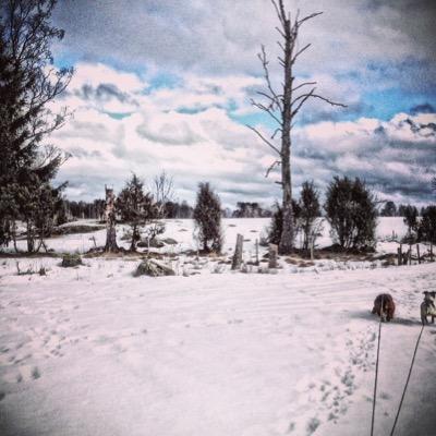 randomnote15's profile picture. Just a random note about whatever I like or dislike ,, ur comments and opinions are welcome