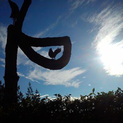 RC_140901's profile picture. 8B!