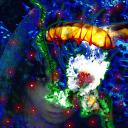 #白雪姫 - @ALI_snow828 - Twitter