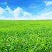 Save-Our-Green-Belt ——🍃💚🍃🌹 (@save_greenbelt) Twitter profile photo Save-Our-Green-Belt ——🍃💚🍃🌹 (@save_greenbelt) Twitter profile photo