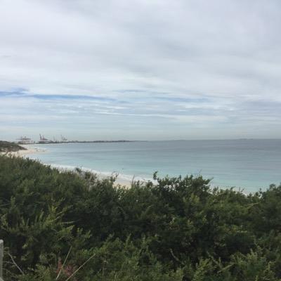 peanutcandles's profile picture. McBusted McBusted McBusted ❤️❤️❤️