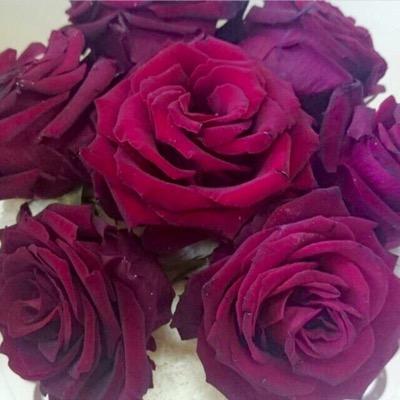 اللي اضيفه ينزل طلبه طوالي بالخاص..عمرك.طولك.وزنك.قبيلي اولا.قبيلتك،سكنك.وظيفتك.
