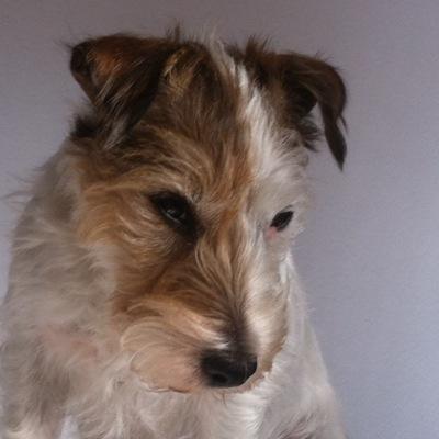 samsmap1's profile picture. 