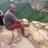 Sihle Mchunu
