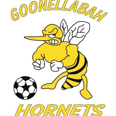 goonellabahfc's profile picture. Est. 1968