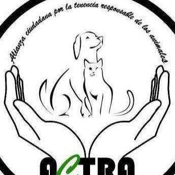 ACTRA Alianza de Ciudadanos por la Tenencia Responsable, Si el estado y todos no nos preocupamos de educar, nada cambiara, No al abandono, Adopta y esteriliza