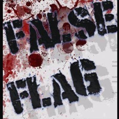 FalseFlagMedia's profile picture. 
