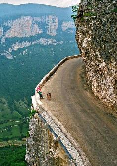 setyaNKRI28's profile picture. 