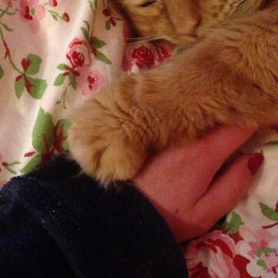 Lulu_grace2611's profile picture. 