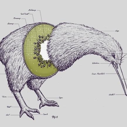 iFDVkiwi's profile picture. Passionate science student sharing my thoughts and experiences with Science and Evolution