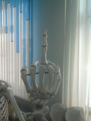 dd530daecdd1420's profile picture. 