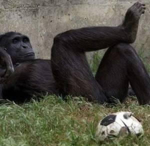 O2Guru's profile picture. Not an O2 Guru, But a Guru nontheless!