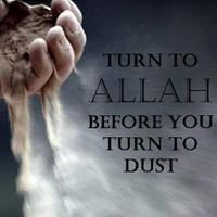 The All-Loving (@theallloving) 's Twitter Profile