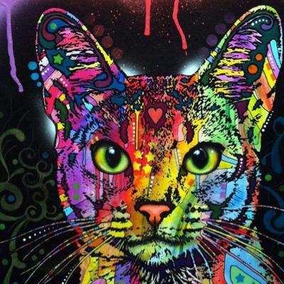 emmaBKT's profile picture. lycéenne(encore collégienne a ses heures perdues)et souvent en retard. kesha❤️