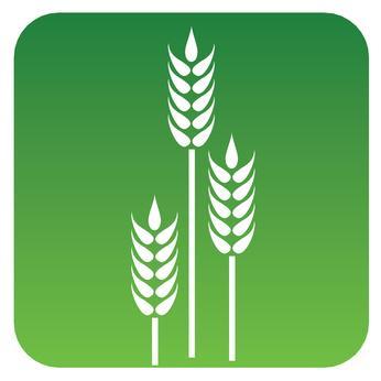 #geodata #agriculture #sustainability #agrobiodiversity #gardening #opensource #DIY