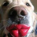 Johnny Wei - @johnnykids23 - Twitter