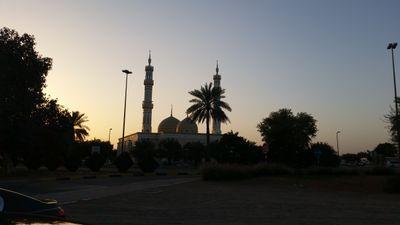 يَاأَيُّهَا الَّذِينَ آمَنُوا عَلَيْكُمْ أَنفُسَكُمْ لَا يَضُرُّكُمْ مَنْ ضَلَّ إِذَا اهْتَدَيْتُمْ