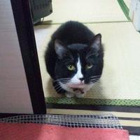 室井 富美江（ふみえ） (@muroifumie) 's Twitter Profile Photo