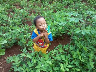 DatamF's profile picture. 