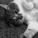 Amanda Andre - @amandaandre2012 - Twitter