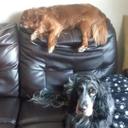 Judith Steele - @steele_judith - Twitter