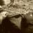 thakar_manthan's profile image