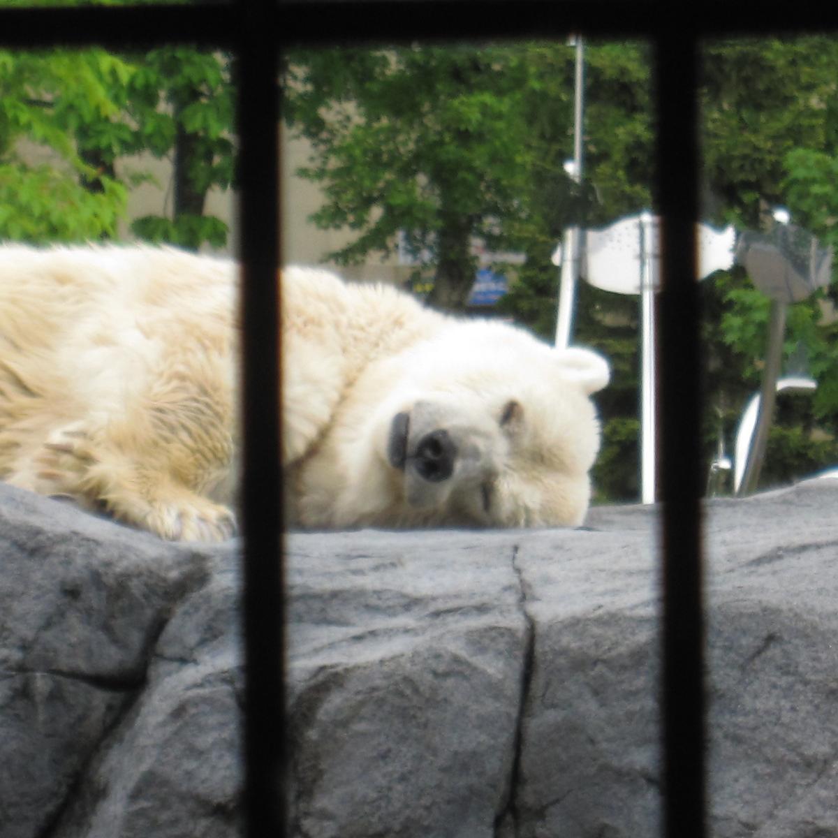 ↑だいたいこんな感じです。極々私的な思いつきのメモなど。