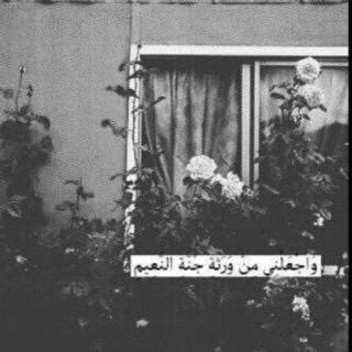 eeeek7's profile picture. 