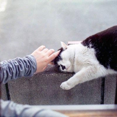 しゅわしゅわパンチ