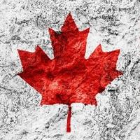 Homicide Canada(@homicide_canada) 's Twitter Profile Photo