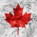 Homicide Canada (@homicide_canada) Twitter profile photo