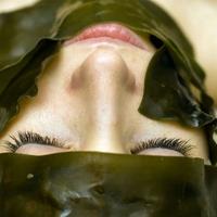 JADE Organic Beauty (@jadeorganicb) 's Twitter Profile
