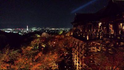 ぼくはキャリアを通（つう）じて9000回以上のシュ