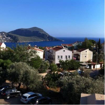 morrisfiona1's profile picture. 