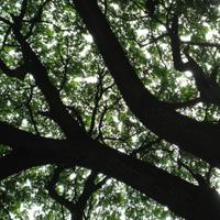 Laura Dudley Jenkins (@ldudleyjenkins) 's Twitter Profile